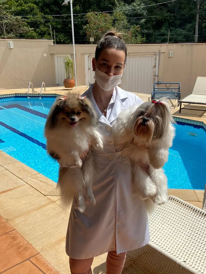 Veterinária em atendimento domiciliar com dois cães