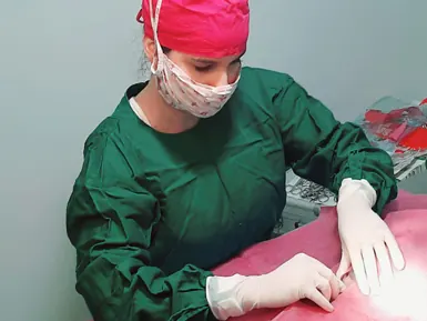Veterinária paramentada preparando procedimento cirúrgico