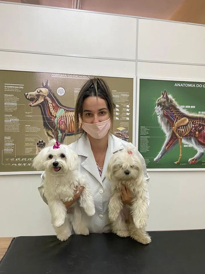 Dra. Juliana Riedo com dois cães no consultório da Riedog
