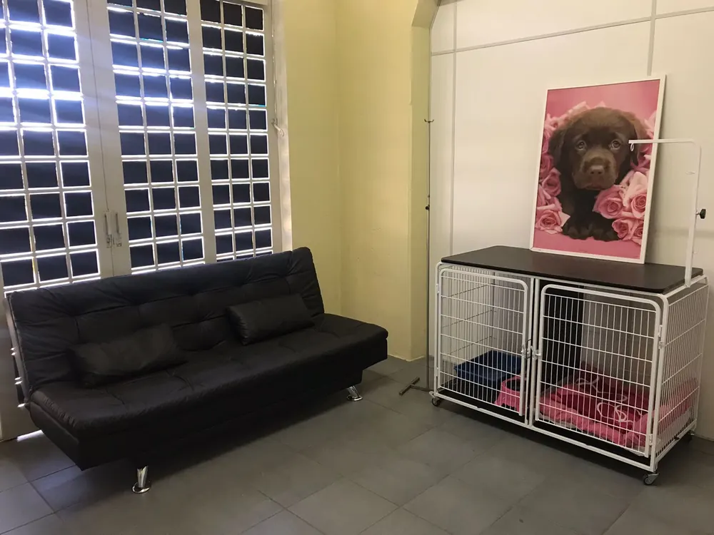 Espaço interno da Riedog com sofá e acomodações para pets