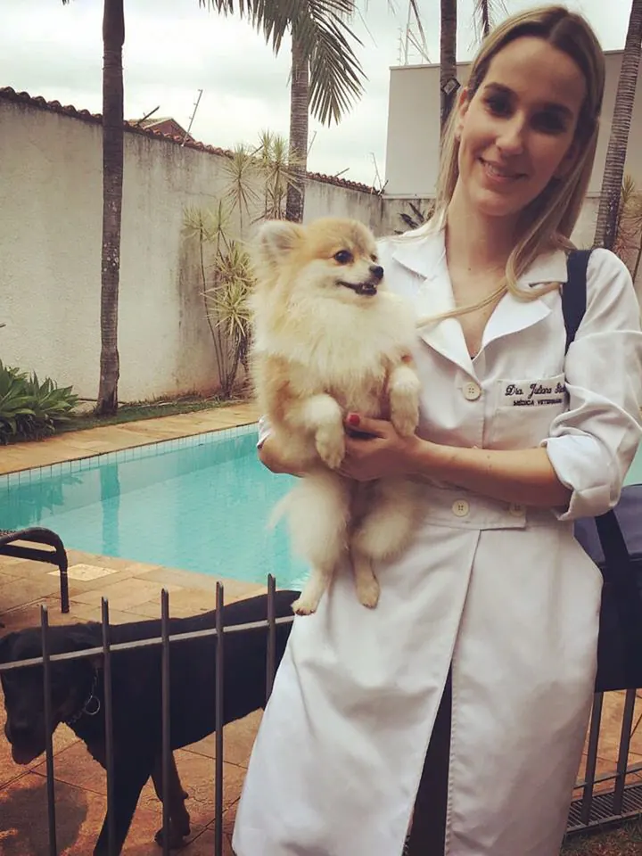 Veterinária segurando um lulu da pomerânia